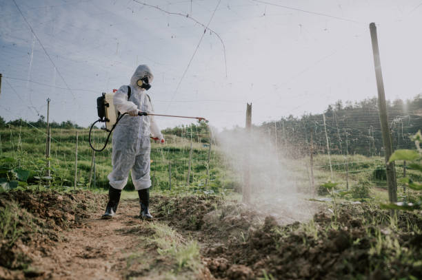 Best Best Pest Control Companies  in Ingram, PA