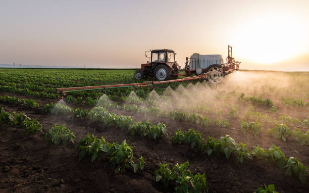 Best Mosquito Control Services  in Ingram, PA