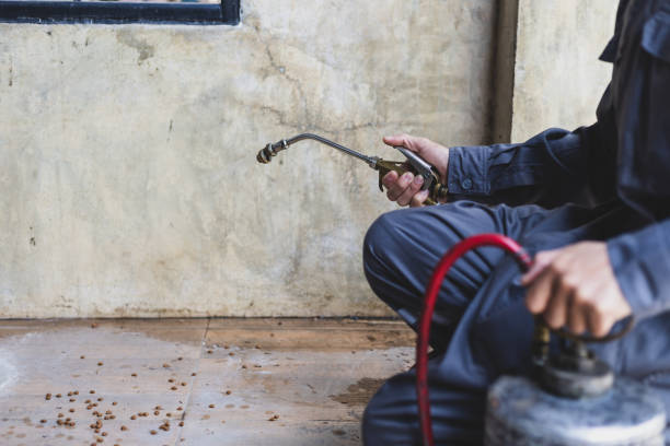 Best Flea Control Services  in Ingram, PA